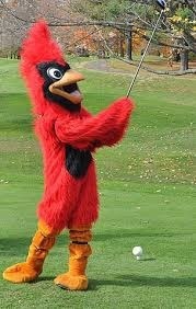 Cardinals golfing 
